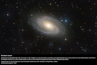 M81